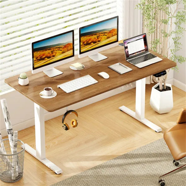 Walnut Desktop White Frame 55" Electric Standing Desk With Dual Motors, 3 Memory Settings Sit-Stand Desk For Home Office